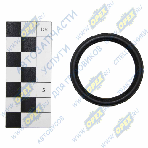 6520-3501117 Сальник (манжета) 38х46х6 армир., вала кулака ГК Ростар1